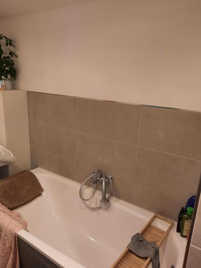Haus Am Donatsturm Appartement Freiberg Buitenkant foto